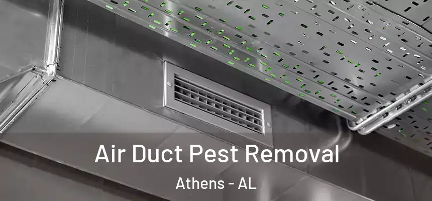  Air Duct Pest Removal Athens - AL