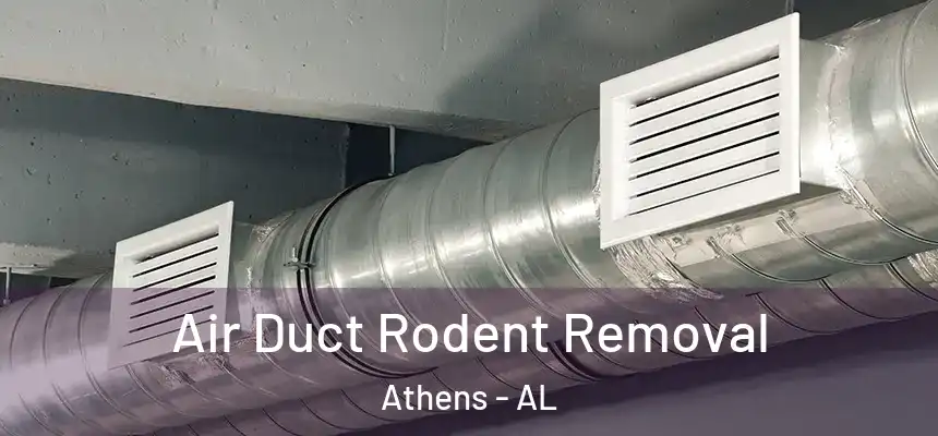  Air Duct Rodent Removal Athens - AL