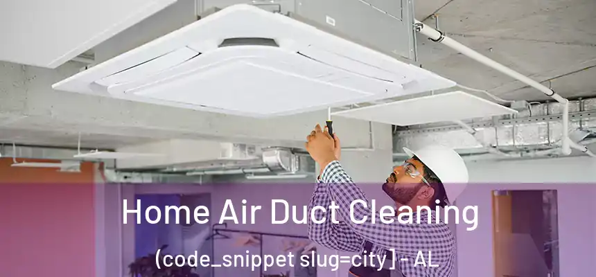  Home Air Duct Cleaning (code_snippet slug=city] - AL