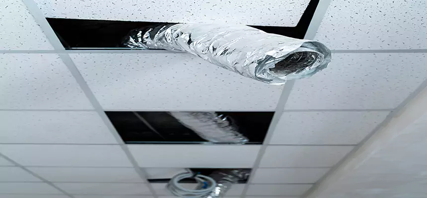 Our Air Duct Pet Hair Removal Services in Athens, AL