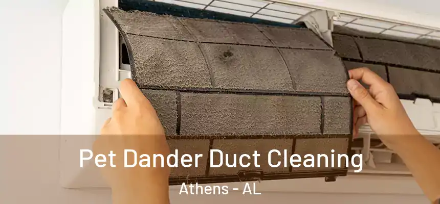 Pet Dander Duct Cleaning Athens - AL