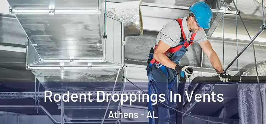 Rodent Droppings In Vents Athens - AL