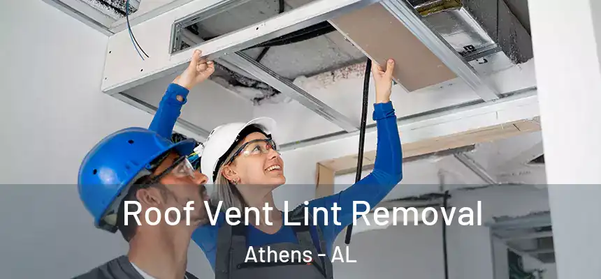 Roof Vent Lint Removal Athens - AL