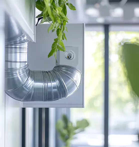 Professional Eco-Safe Dryer Vent Cleaning in Athens, AL