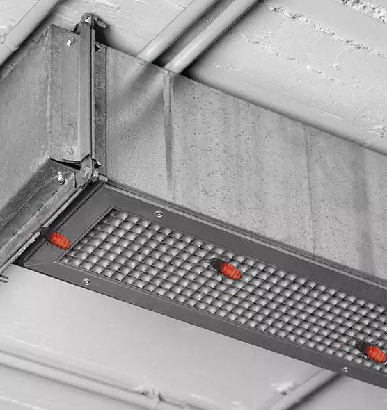 Affordable Insect Removal from Air Ducts in Athens, AL