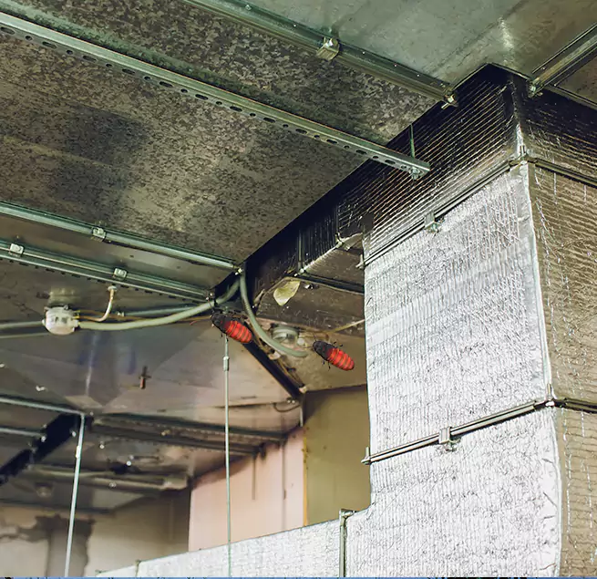 Why Homeowners & Businesses Trust Us in Athens, AL?