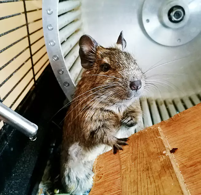 Why Homeowners & Businesses Trust Us Athens, AL