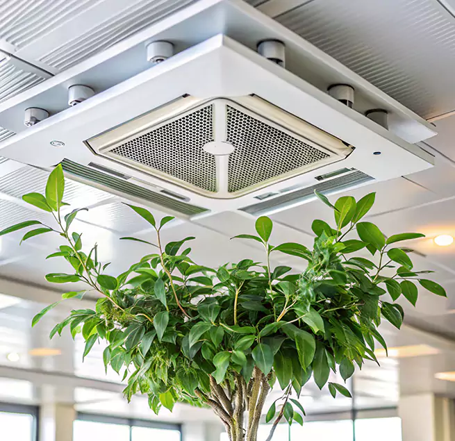 Why Homeowners & Businesses Trust Us in Athens, AL?